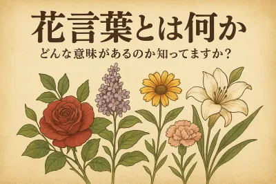 花言葉とは何か、どんな意味があるのか知ってますか？
