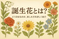 誕生花とは？どう決まるのか、楽しみ方を詳しく紹介