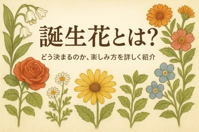 誕生花とは？どう決まるのか、楽しみ方を詳しく紹介
