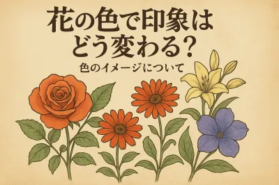 花の色で印象はどう変わる？色のイメージについて