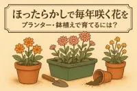 ほったらかしで毎年咲く花はプランターで楽しめる？育てやすいおすすめを厳選紹介