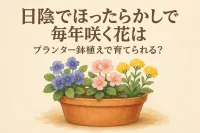 日陰でほったらかしで毎年咲く花はプランター鉢植えで育てられる？