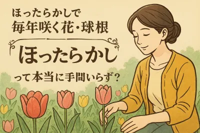 ほったらかしで毎年咲く花・球根って本当に手間いらず？