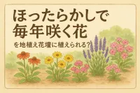 ほったらかしで毎年咲く花を地植え花壇に植えられる？