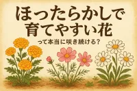 ほったらかしで育てやすい花って本当に毎年咲き続ける？