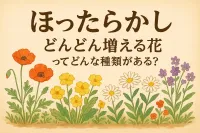 ほったらかしでどんどん増える花ってどんな種類がある？