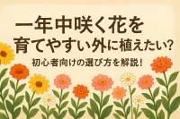 一年中咲く花を育てやすい外に植えたい？初心者向けの選び方を解説！