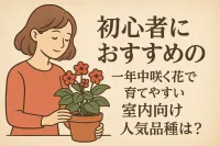 初心者におすすめの一年中咲く花で育てやすい室内向け人気品種は？