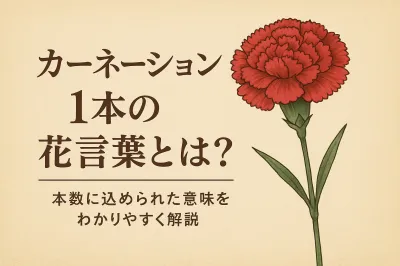 カーネーション1本の花言葉とは？本数に込められた意味をわかりやすく解説