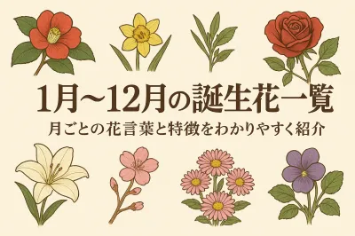 1月〜12月の誕生花一覧｜月ごとの花言葉と特徴をわかりやすく紹介