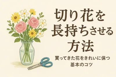 切り花を長持ちさせる方法｜買ってきた花をきれいに保つ基本のコツ