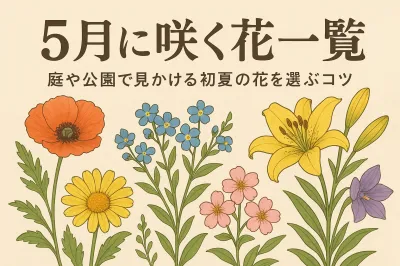 5月に咲く花一覧｜庭や公園で見かける初夏の花を選ぶコツ