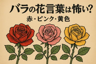 バラの花言葉は怖い？赤・ピンク・黄色の意味を写真つきで紹介