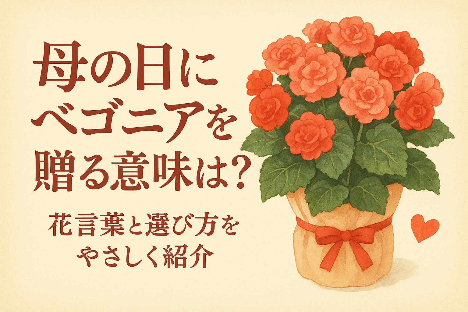 母の日にベゴニアを贈る意味は？花言葉と選び方をやさしく紹介