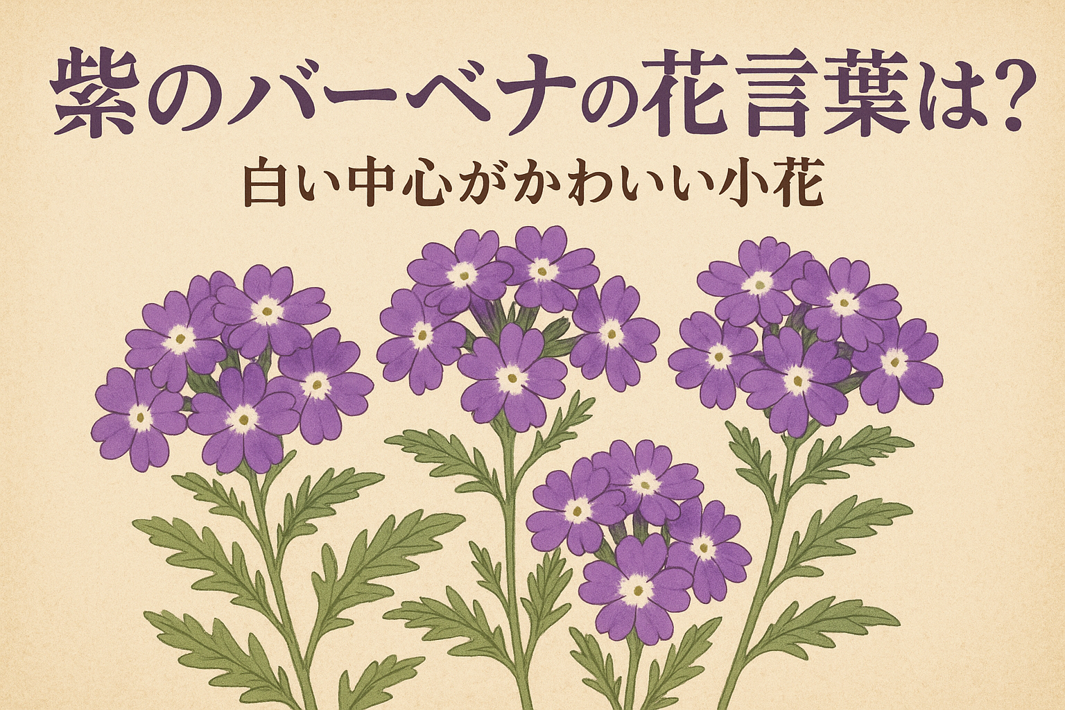 紫のバーベナの花言葉は？白い中心がかわいい小花の意味を写真つきで紹介