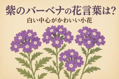 紫のバーベナの花言葉は？白い中心がかわいい小花の意味を写真つきで紹介
