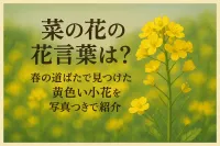 菜の花の花言葉は？春の道ばたで見つけた黄色い小花を写真つきで紹介